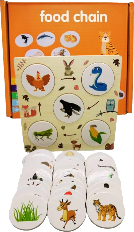 كروت دائرة مراحل النمو لمختلف الكائنات الحية ، 3063