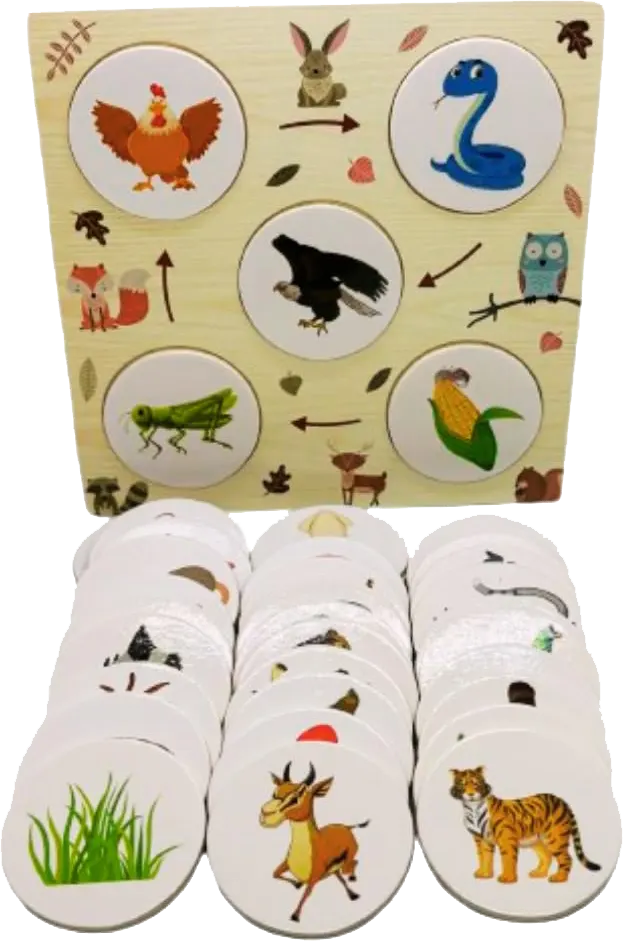 كروت دائرة مراحل النمو لمختلف الكائنات الحية ، 3063