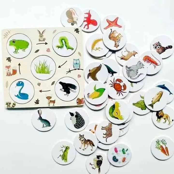 كروت دائرة مراحل النمو لمختلف الكائنات الحية ، 3063