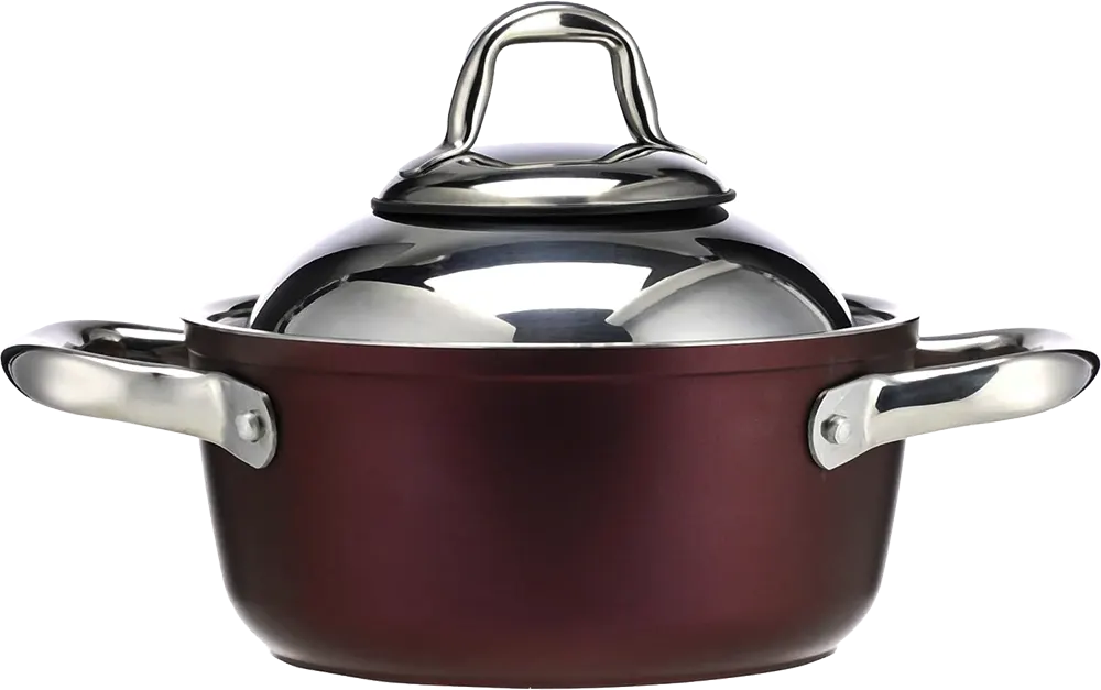 حلة تيفال سافلون مقاس 18، يد استانلس ستيل، احمر