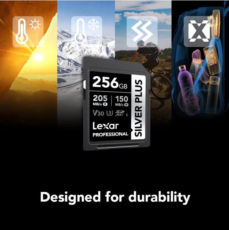 SD كارت ليكسار بروفيشنال سيلفر بلس، 256 جيجا، من نوع SDXC™ UHS-I، تصنيف V30، سرعة قراءة حتى 205 ميجا في الثانية، LSDSIPL256G-BNNNG