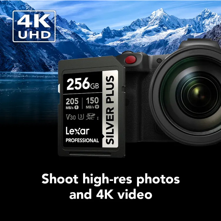 SD كارت ليكسار بروفيشنال سيلفر بلس، 256 جيجا، من نوع SDXC™ UHS-I، تصنيف V30، سرعة قراءة حتى 205 ميجا في الثانية، LSDSIPL256G-BNNNG