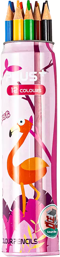 علبة ألوان  خشب  واي بلس ، مجموعة 12  لون بعلبة معدن، ألوان متعدد ة NO.PC-1704