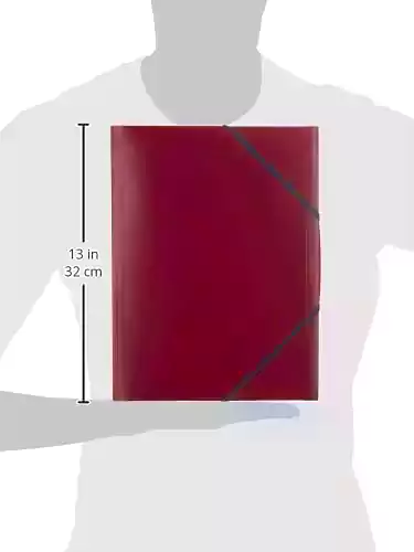 حافظة مستندات كيب نت مينترا، عنابي، pp